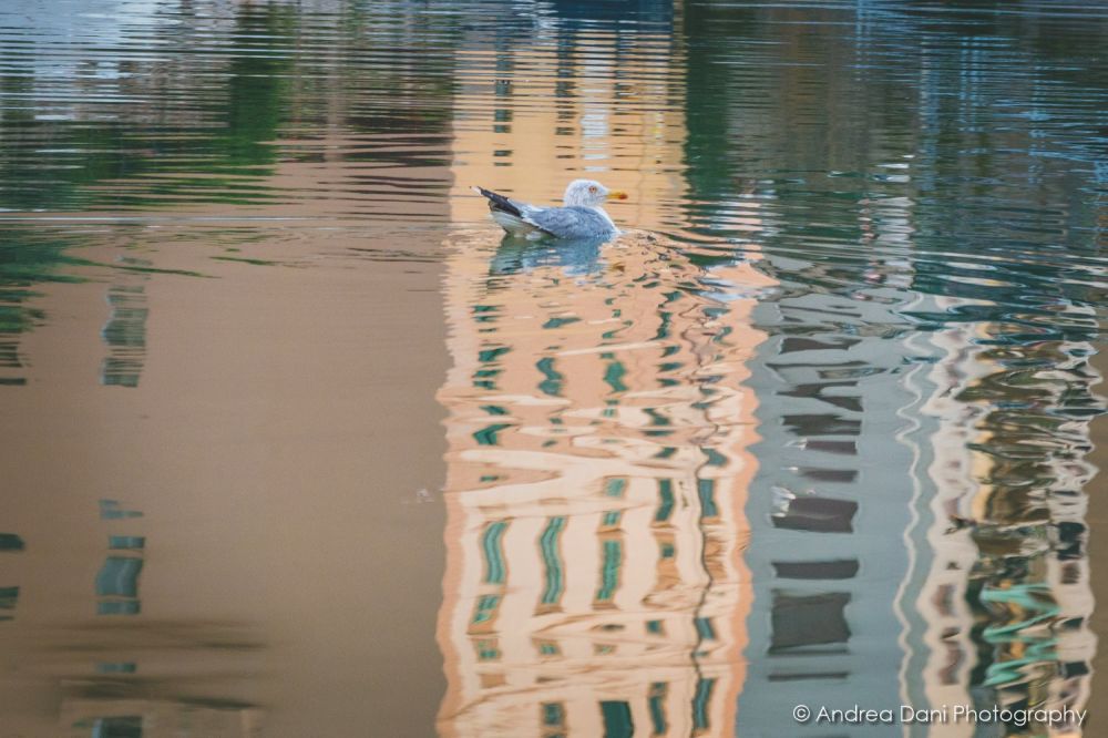 riflessi nell acqua durante il giro in battello a livorno