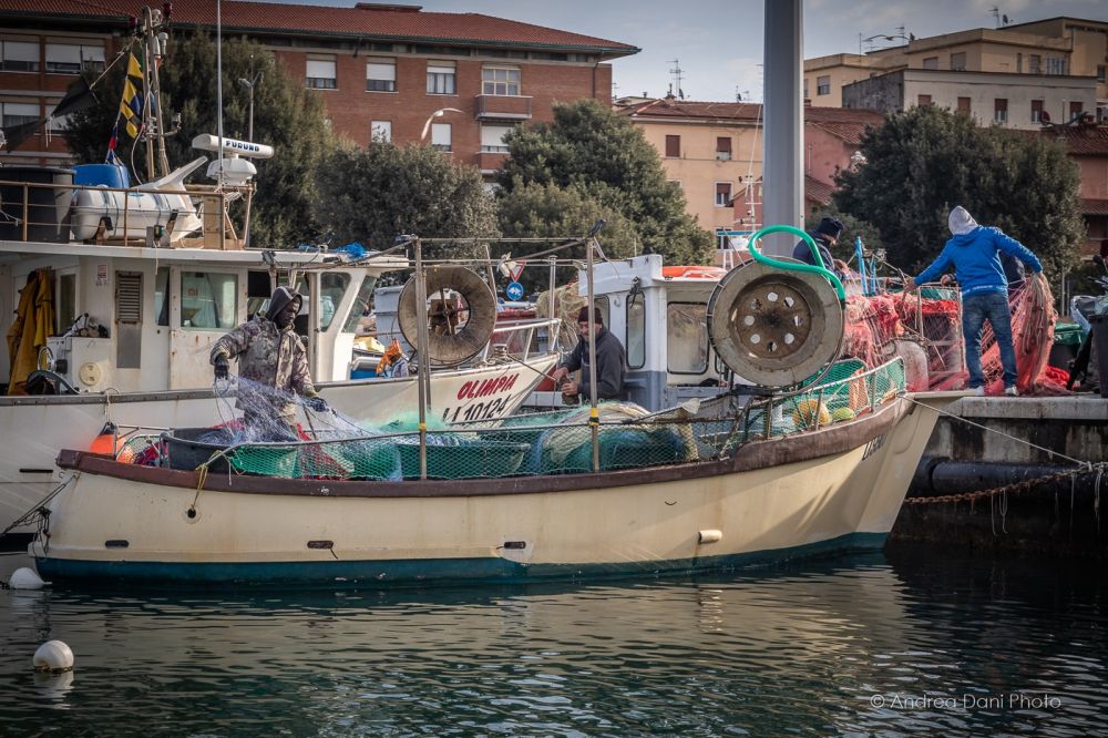 barca pescatori nel porto di livorno