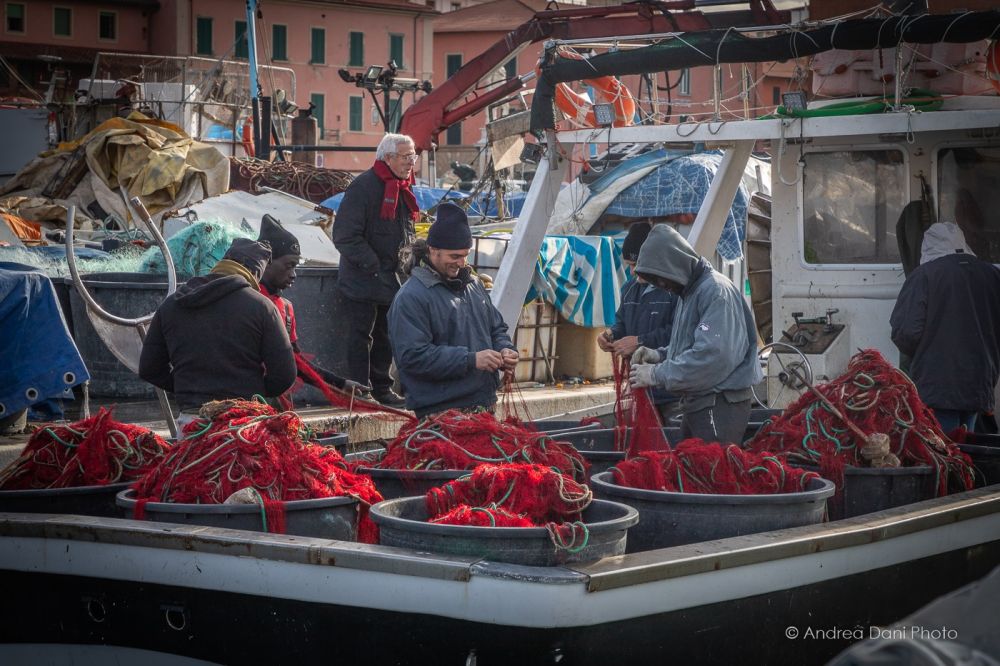 reti da pesca porto livorno