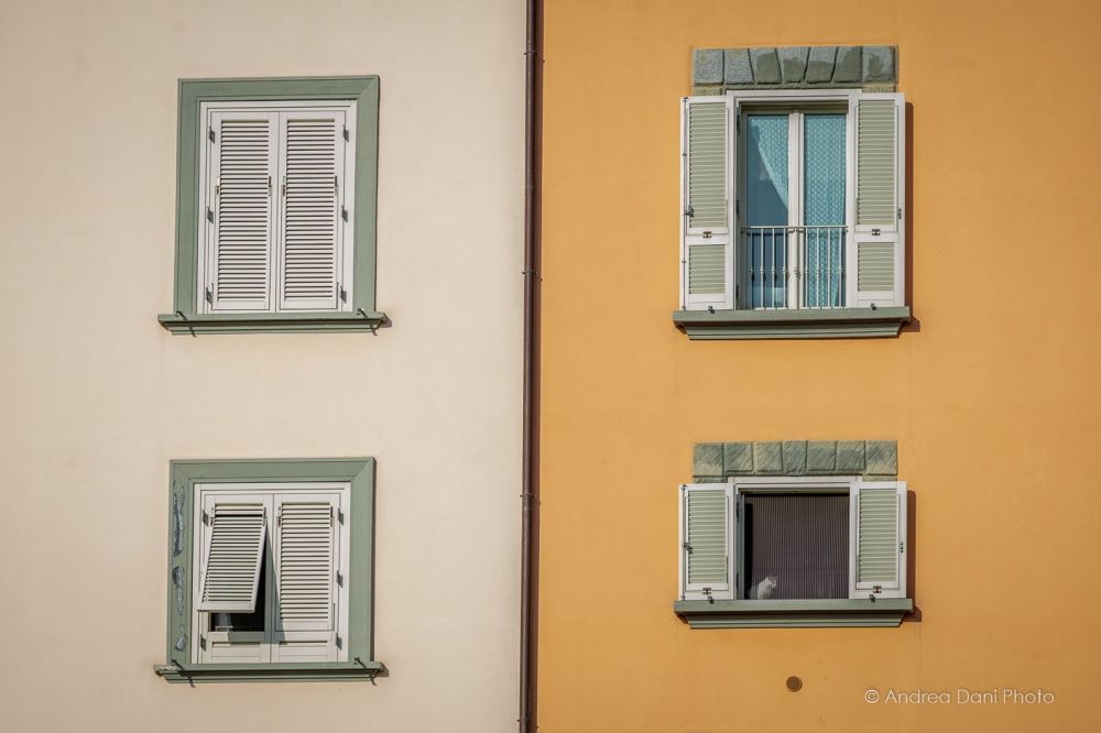 affaccio di palazzi livornesi sui fossi medicei particolare